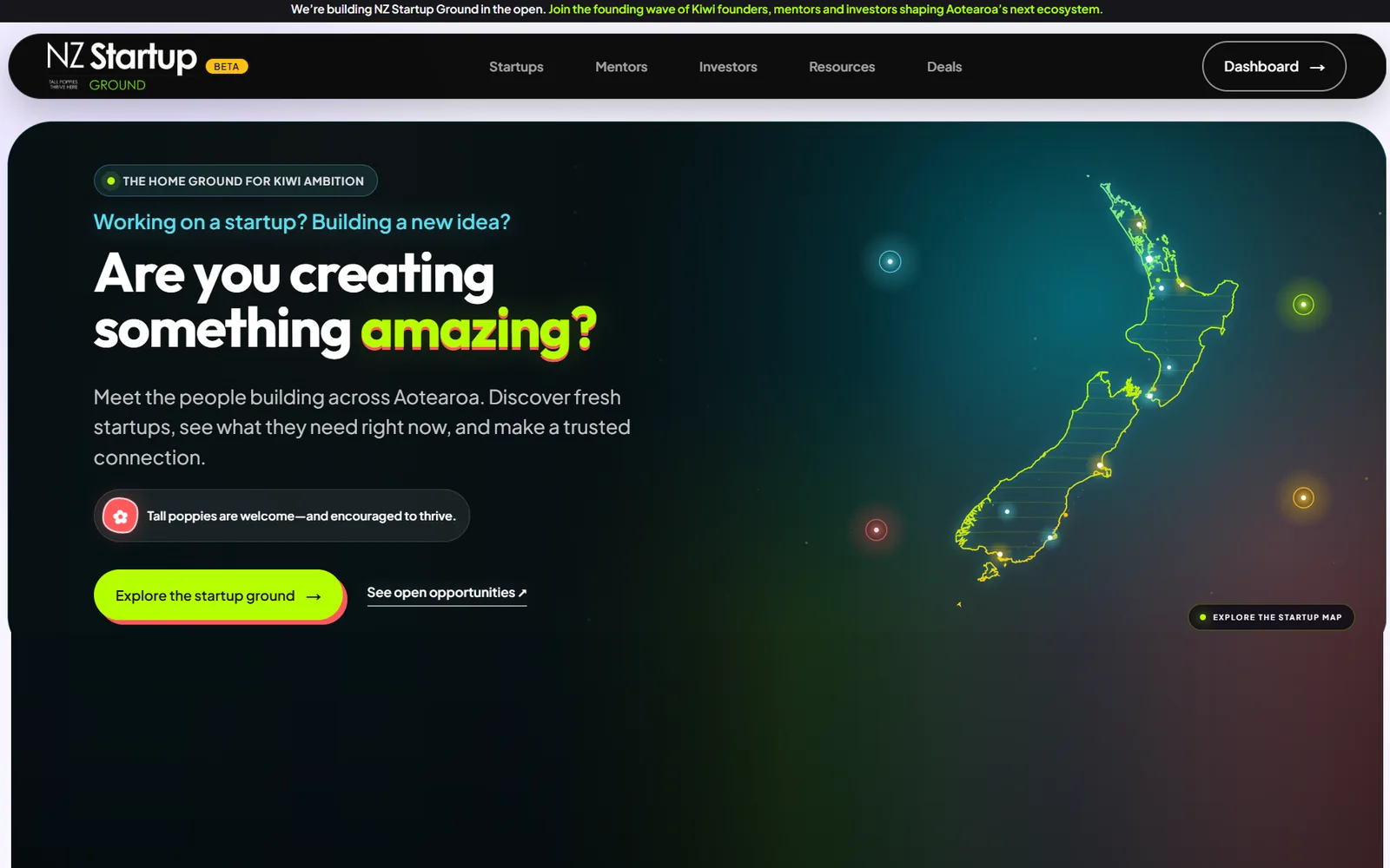Screenshot of NZ Startup Ground